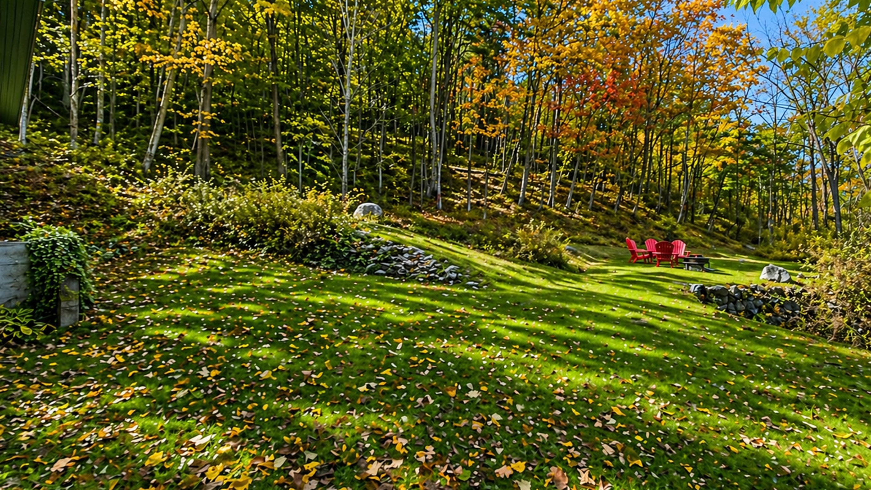 Enjoy spacious backyard.