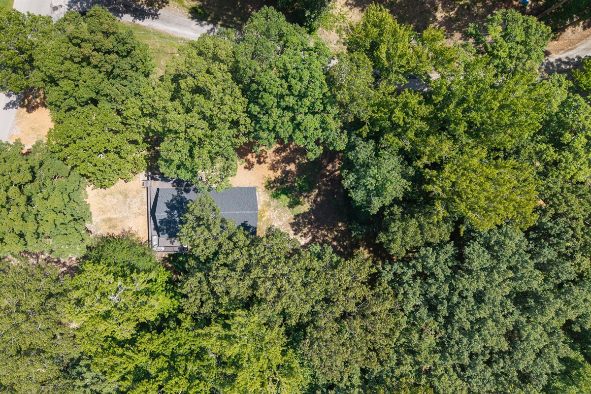 Entire Property (summer time)