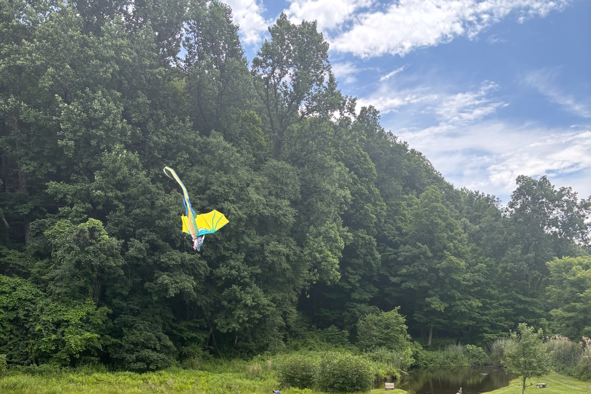 Play outdoor games. Fly a kite!