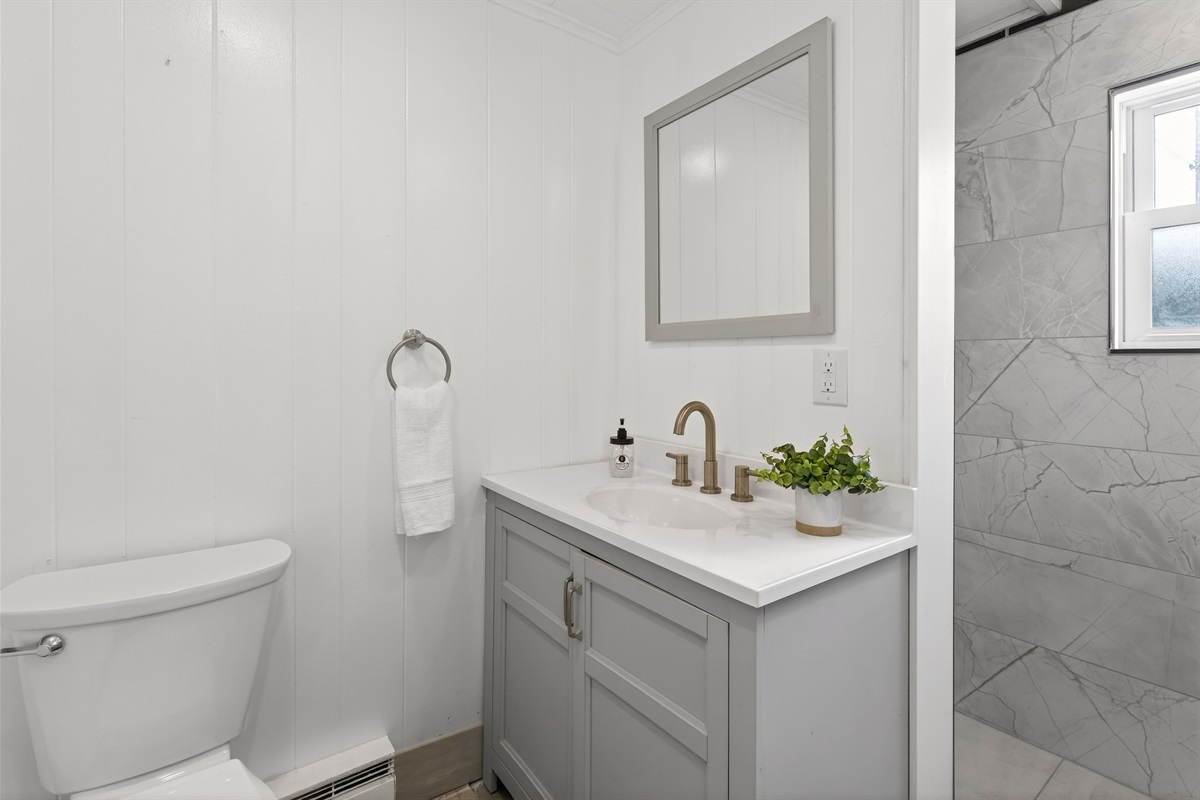 Lower level full bathroom