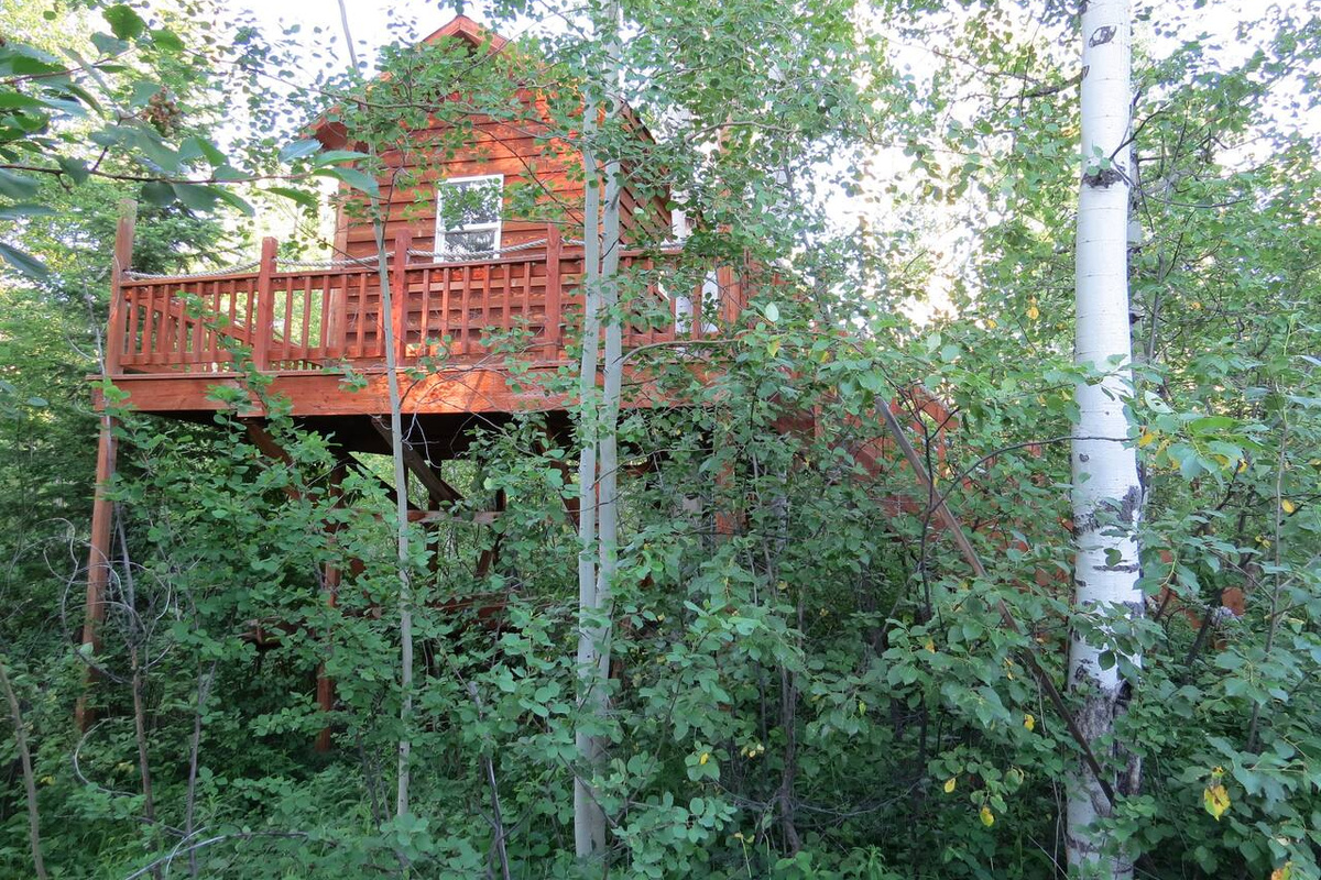 Treehouse!