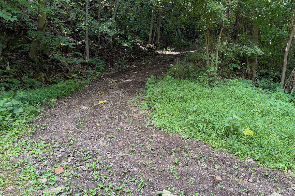 Numerous trails are on the 26 acre property, which you are free to use. We do have many wild animals to enjoy watching, but do take care and be safe. Read through the Guest Welcome Book about safety before you venture off.