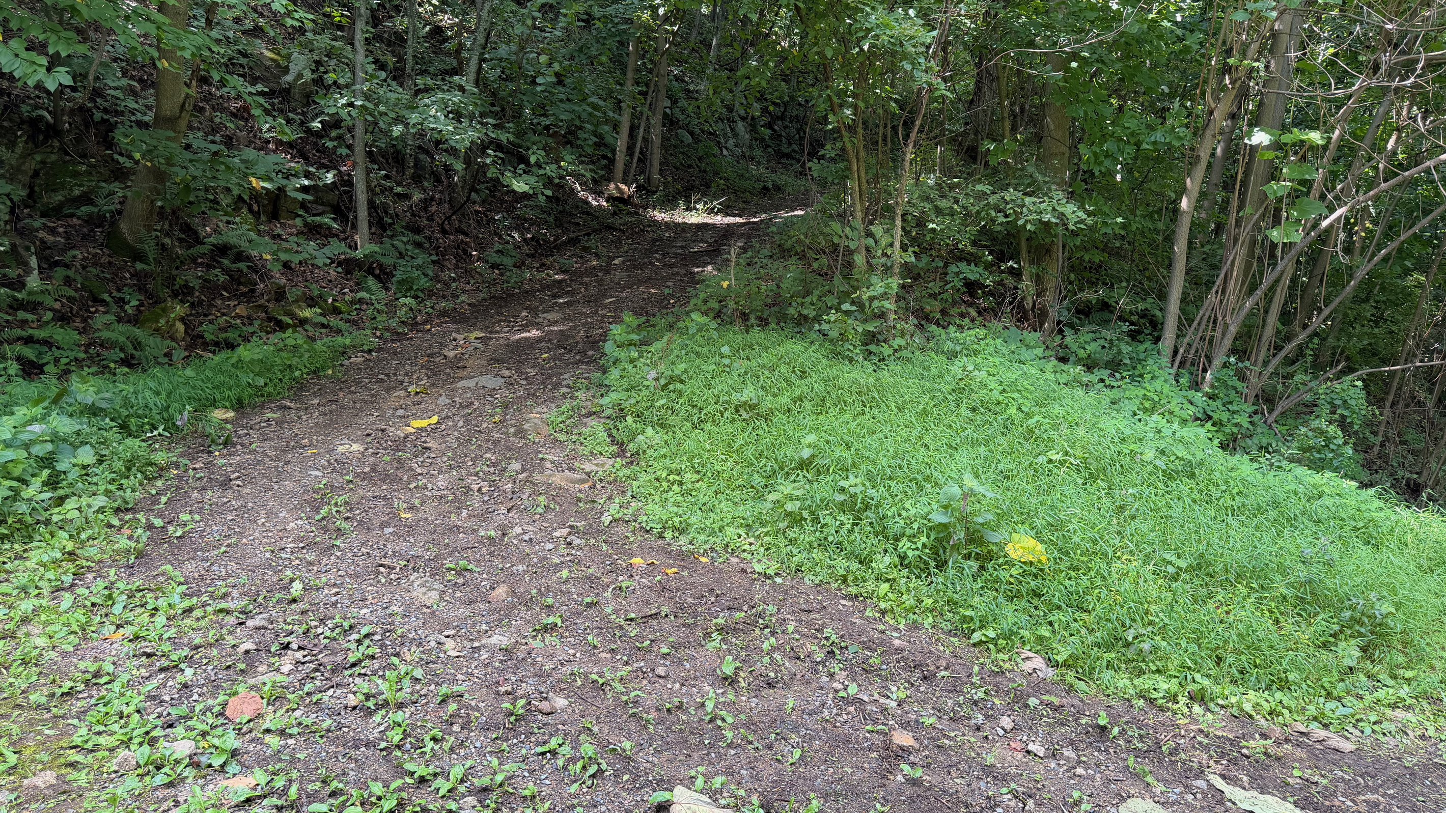 Numerous trails are on the 26 acre property, which you are free to use. We do have many wild animals to enjoy watching, but do take care and be safe. Read through the Guest Welcome Book about safety before you venture off.
