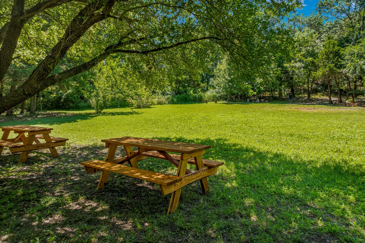 Wide-open space ideal for retreats, celebrations, and unforgettable stays.