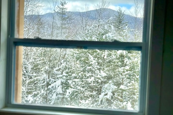 Views from Bedroom 4