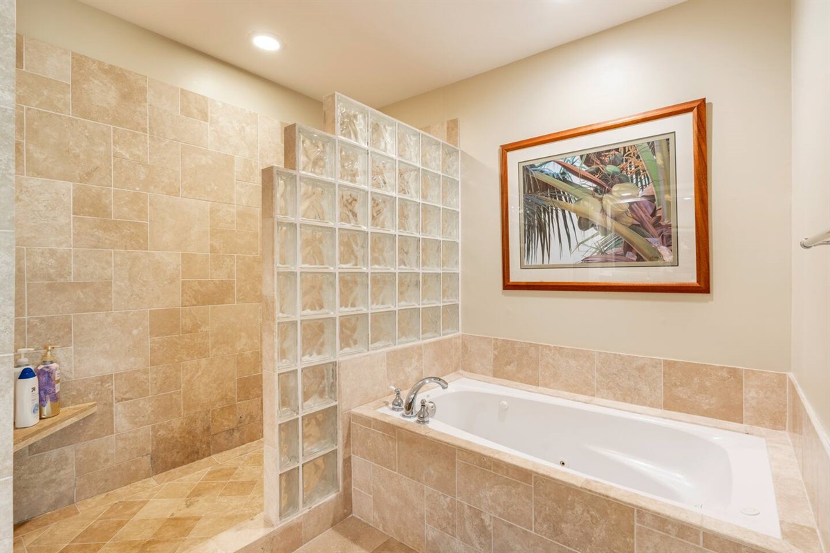 master bath with jetted tub and separate shower