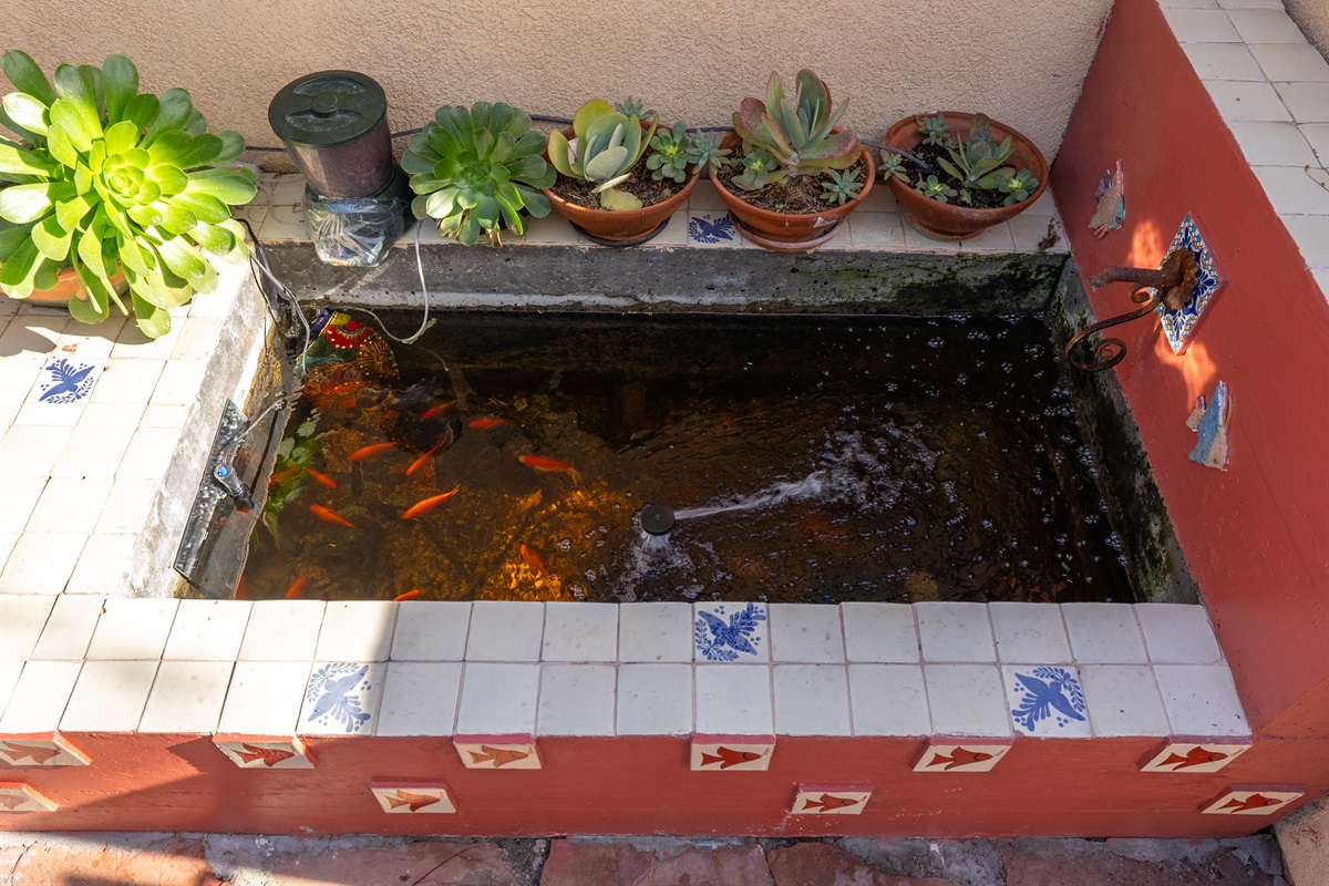 You are greeted by the sound of water from the fish pond as you approach the entry.