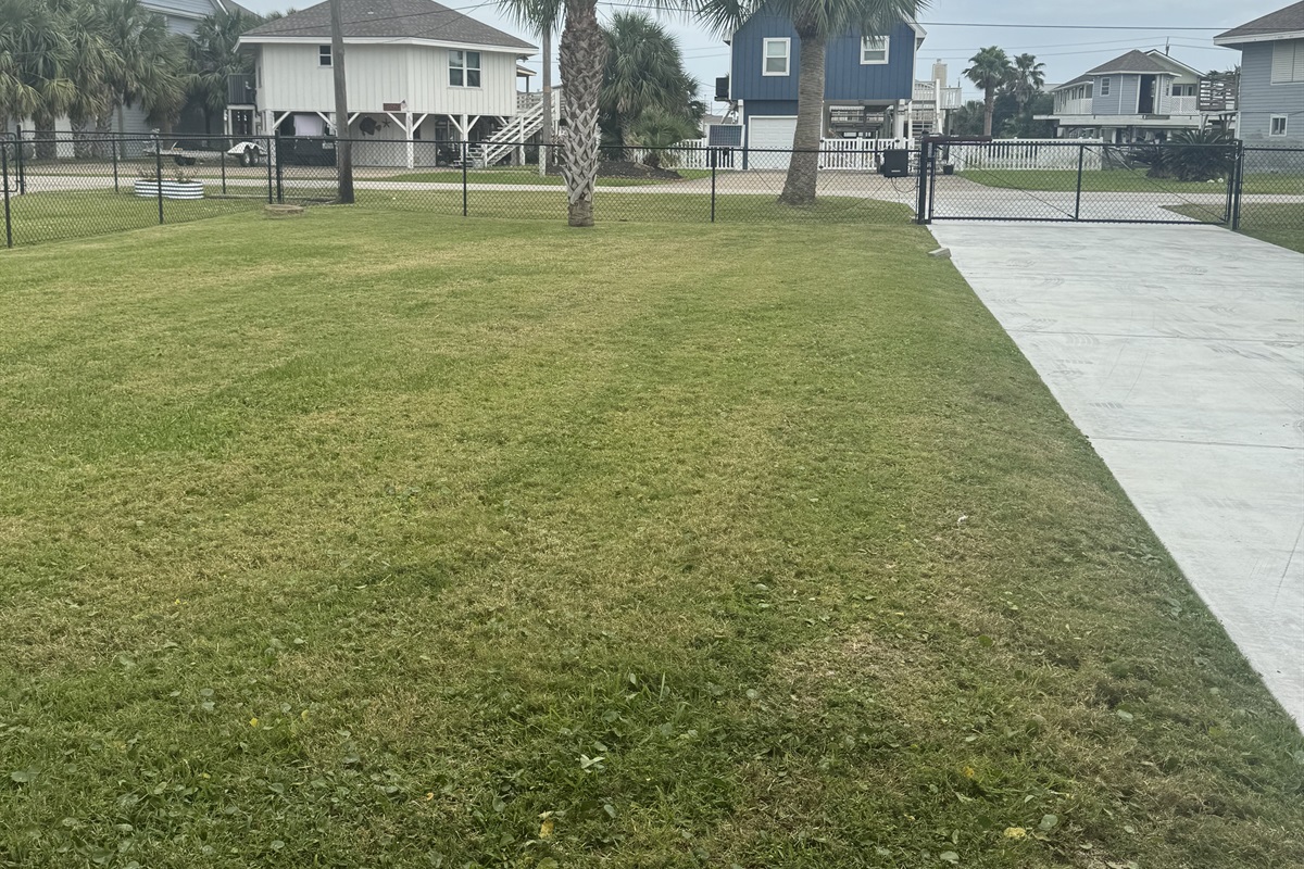 Large fenced in yard