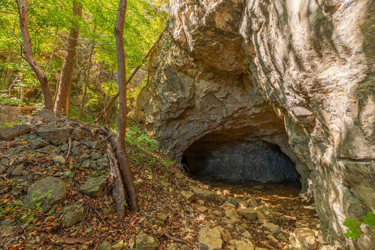 This is the entrance of the "Limestone Cave" that is on the far end of the property. 