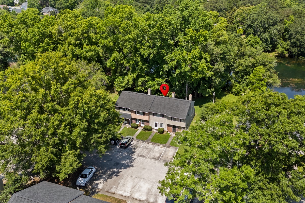 Wooded Area