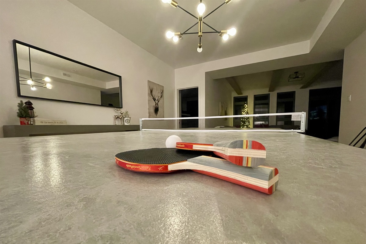Dining table can be used for family ping pong games!