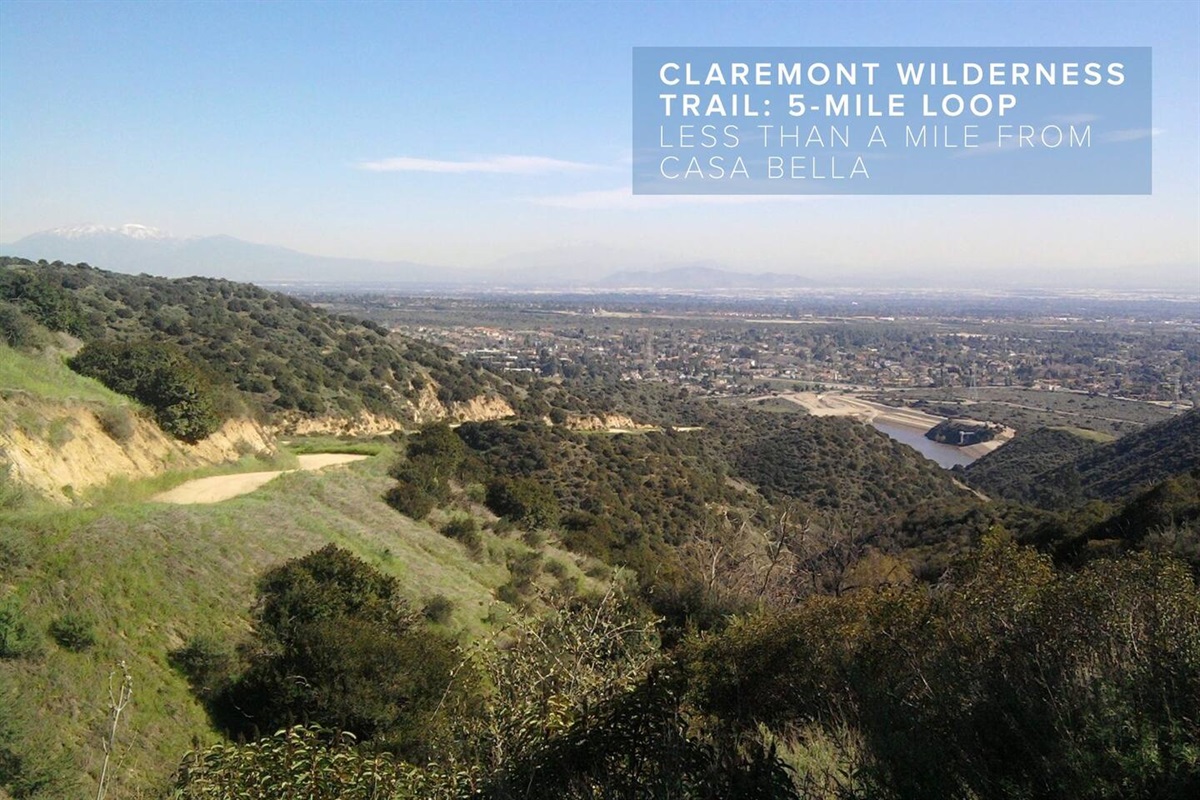 The Claremont Wilderness Trail is a 5-Mike loop, friendly for mountain-bikers and hikers alike, and one of many nearby trails that range from easy to advanced. 