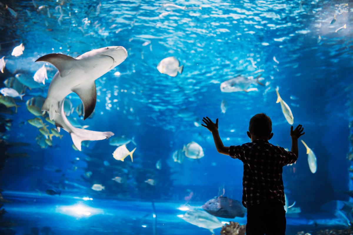 The new Mississippi Aquarium is a 7 minute car ride away.