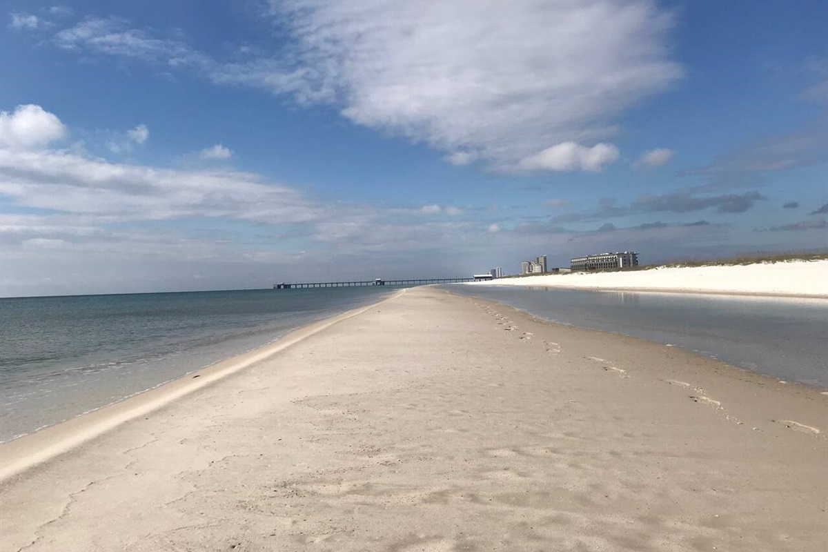 Making footprints in the sand. 