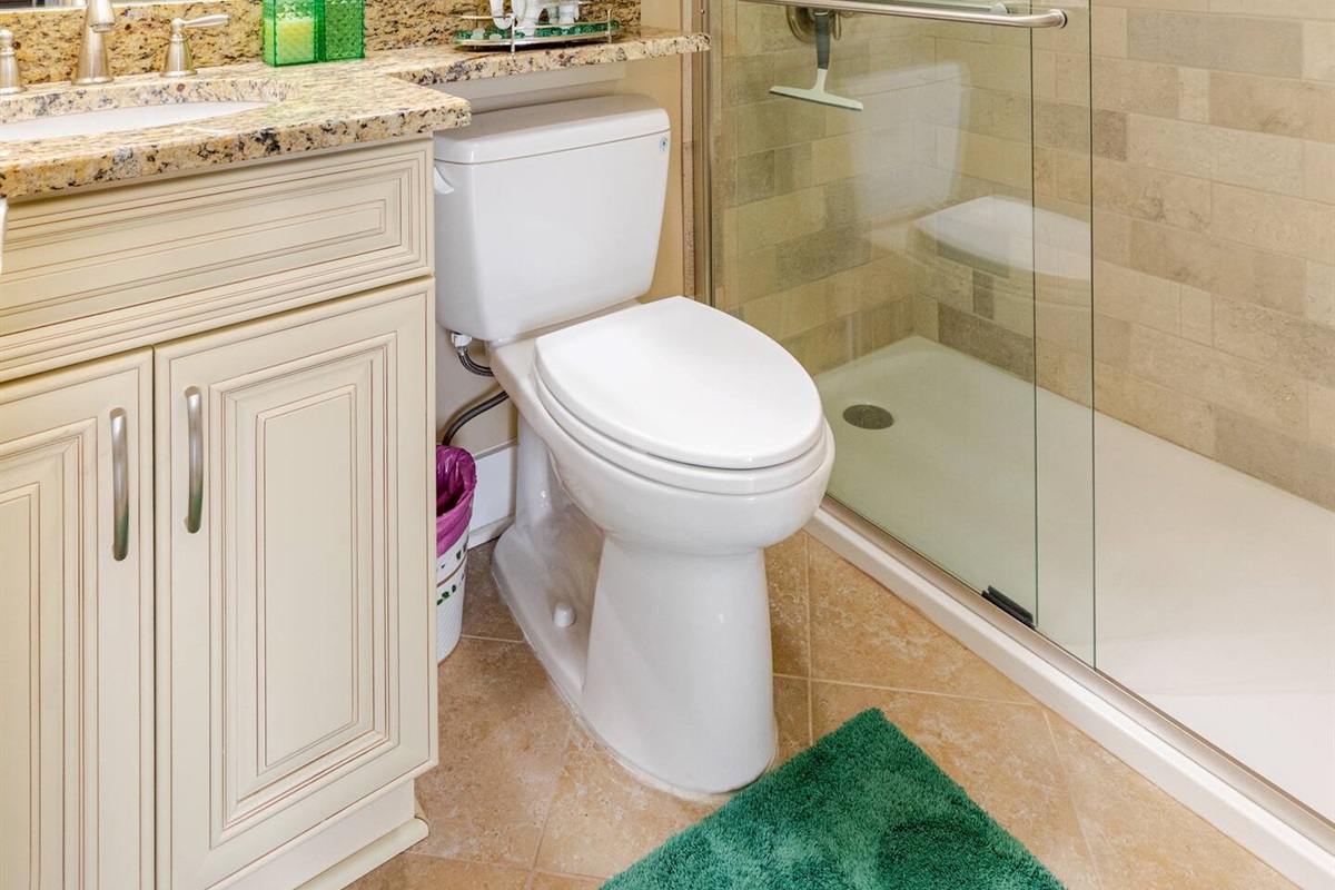 Guest bath w/ shower & tub combo and modern finishes.