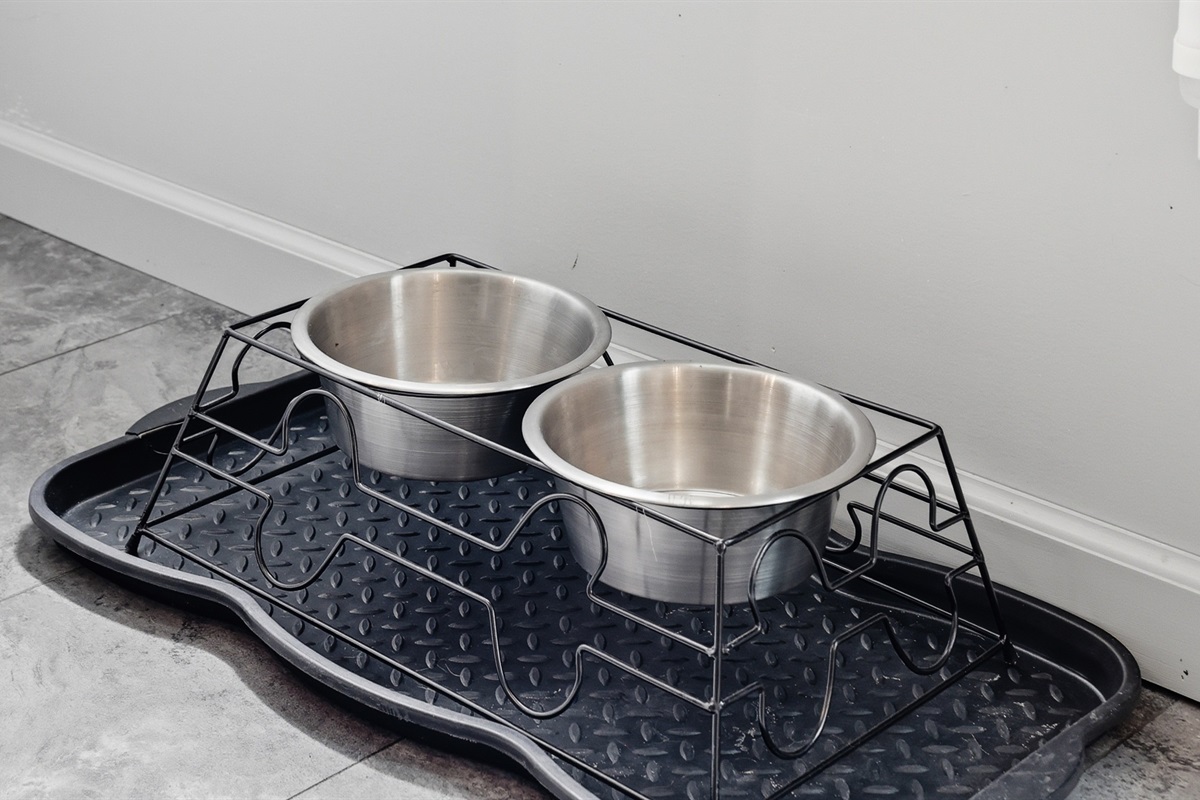 Your furry friends are welcome to Toby's Place, too!