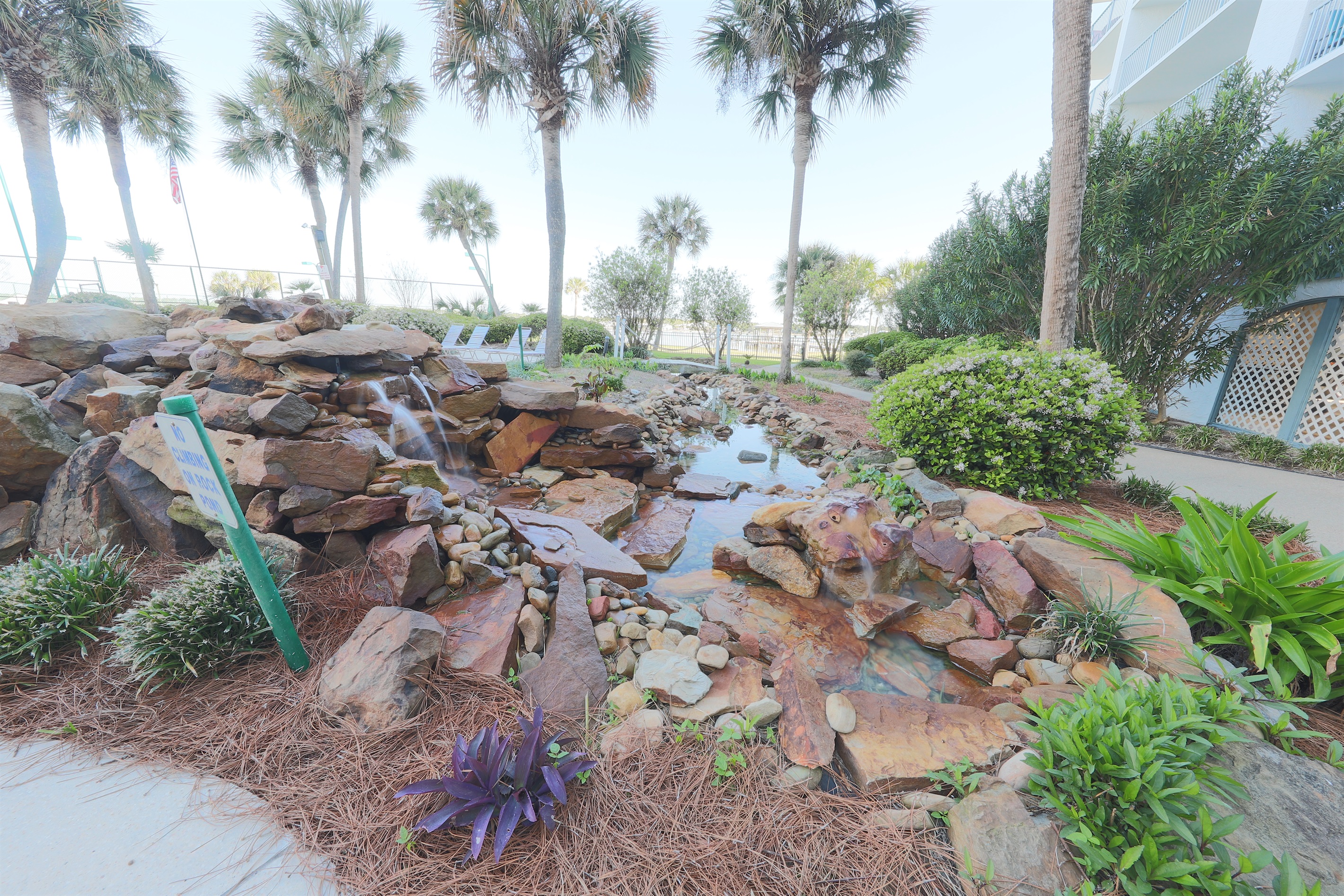 Rock Pond