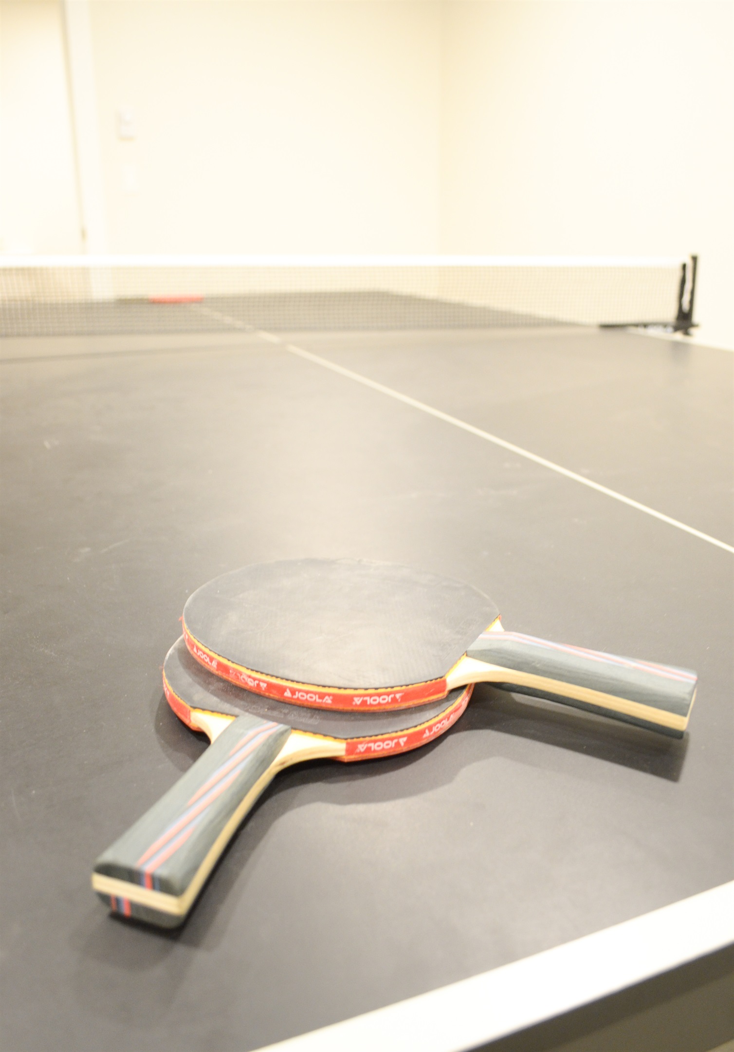 Ping Pong