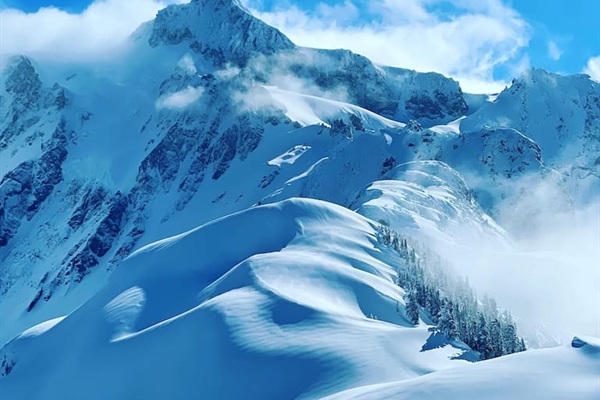 Shuksan Arm Hike