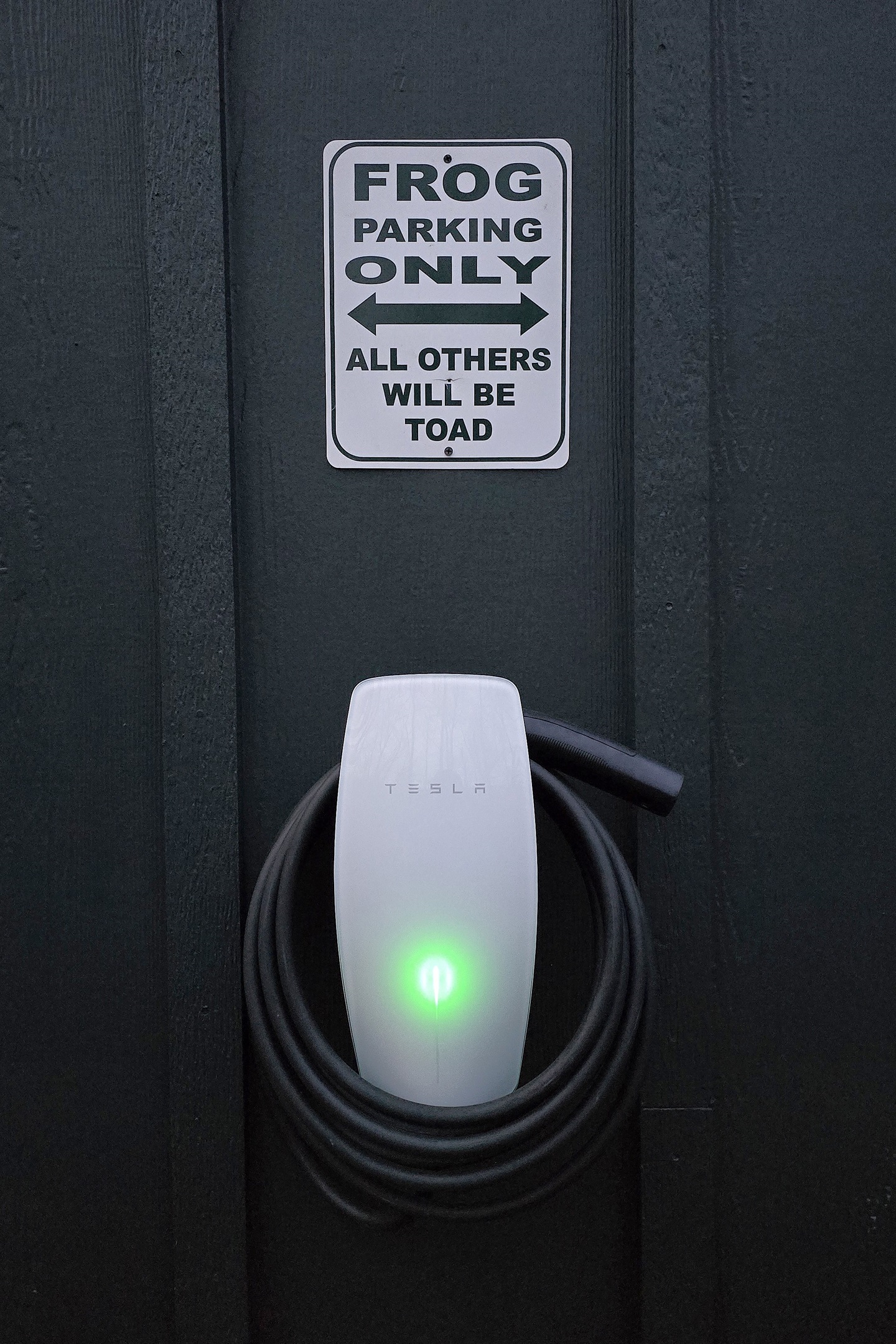 Tesla universal wall charger