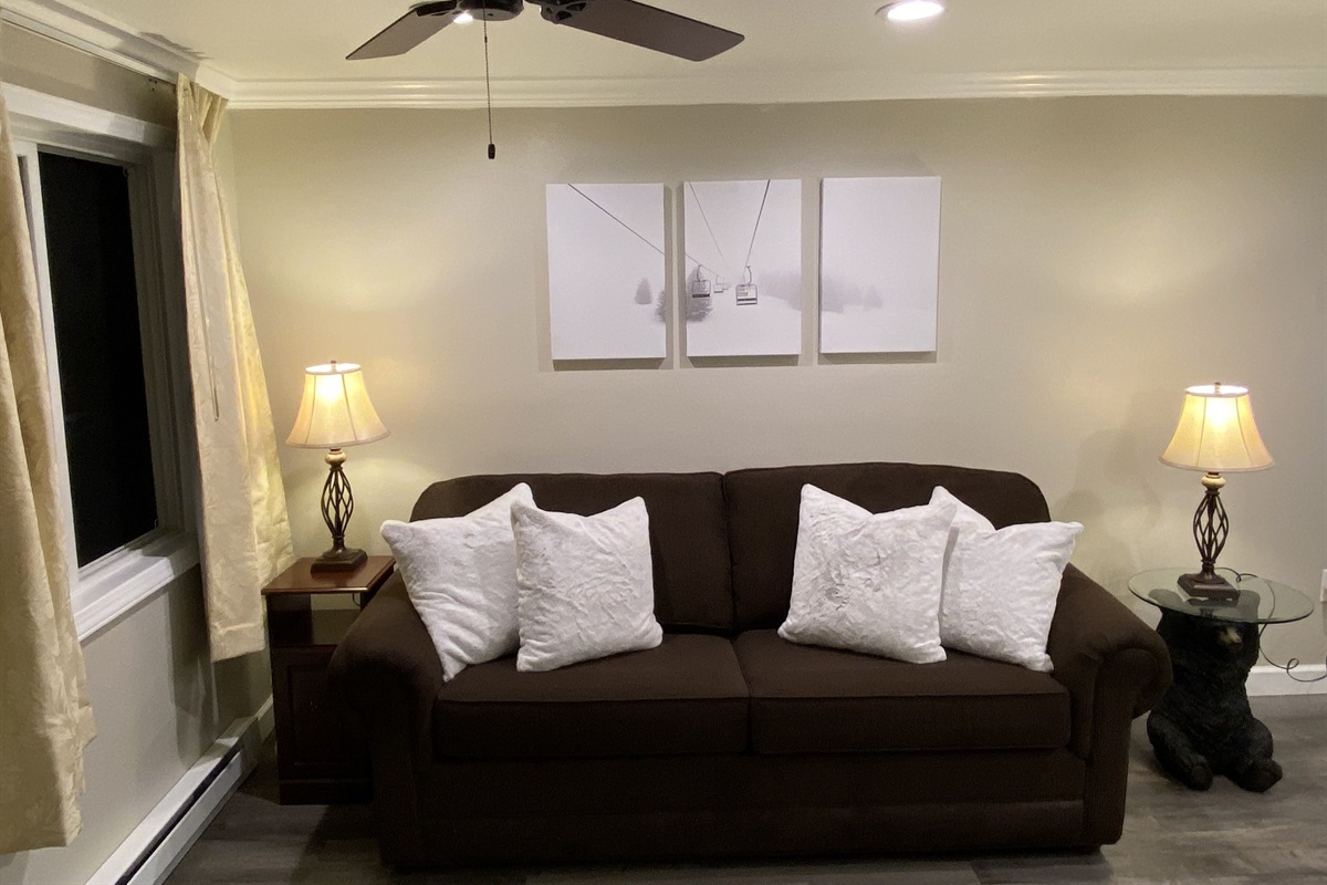 The sleeper sofa in the living room.