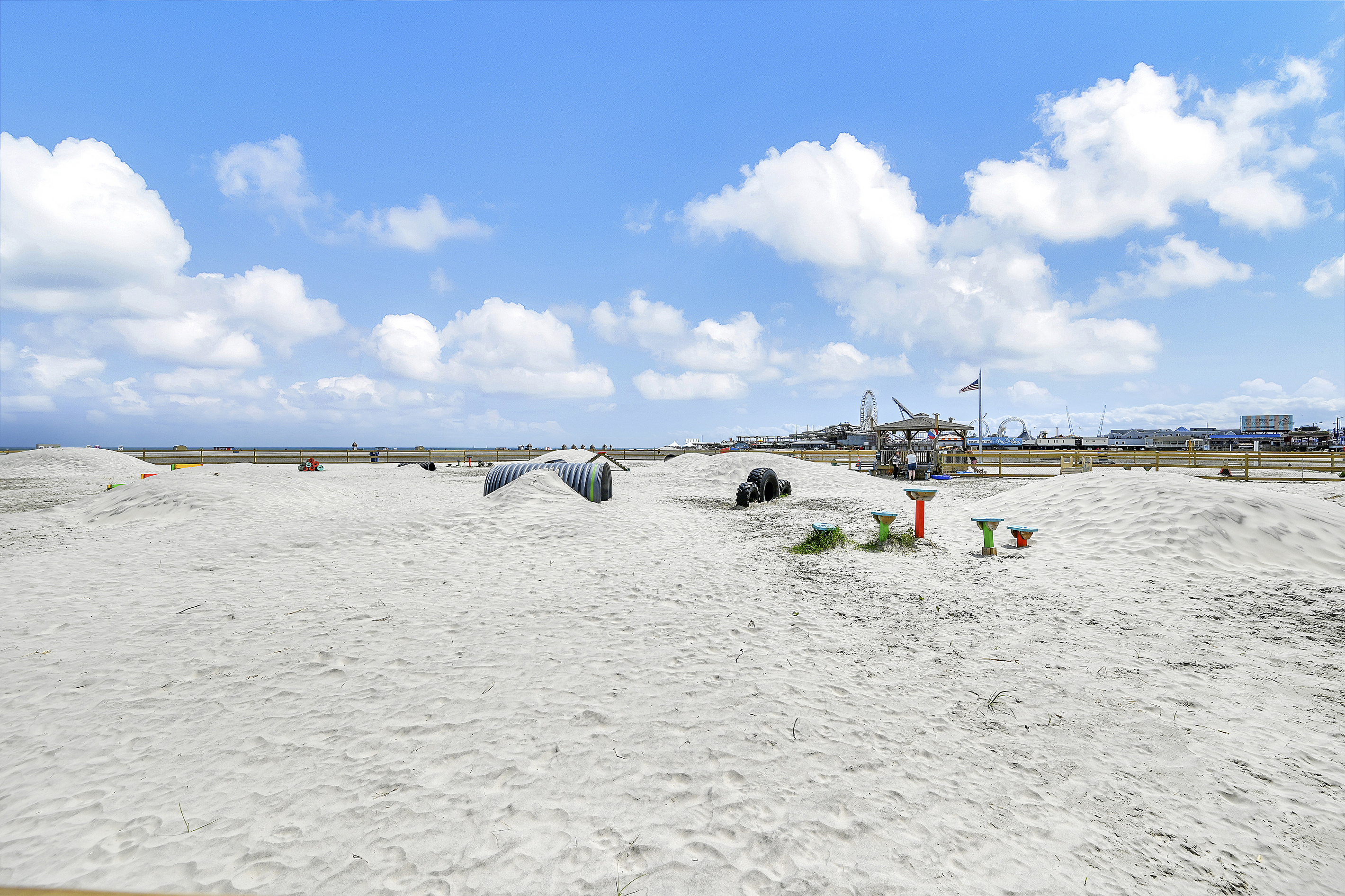 Dog Beach is HUGE and in the middle of EVERYTHING!