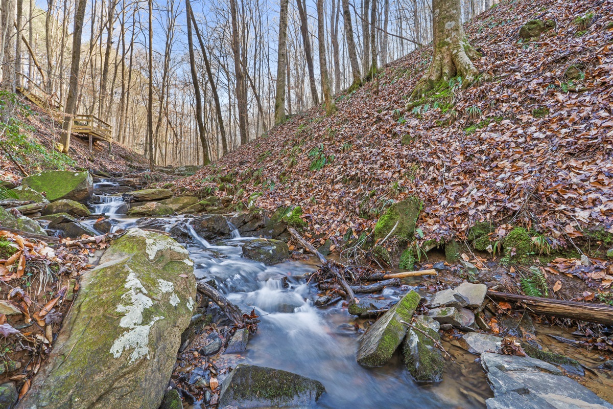 Small waterfalls in the creek play soothing sounds!