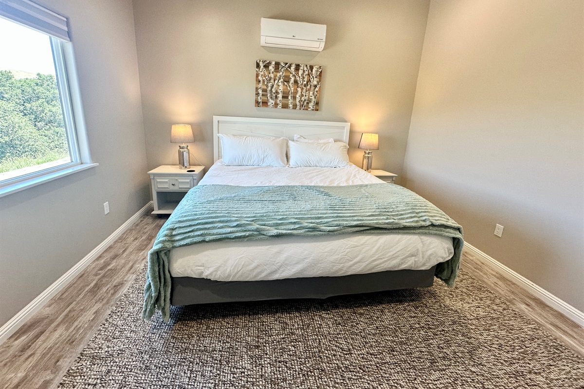 Primary Bedroom with King Size Bed