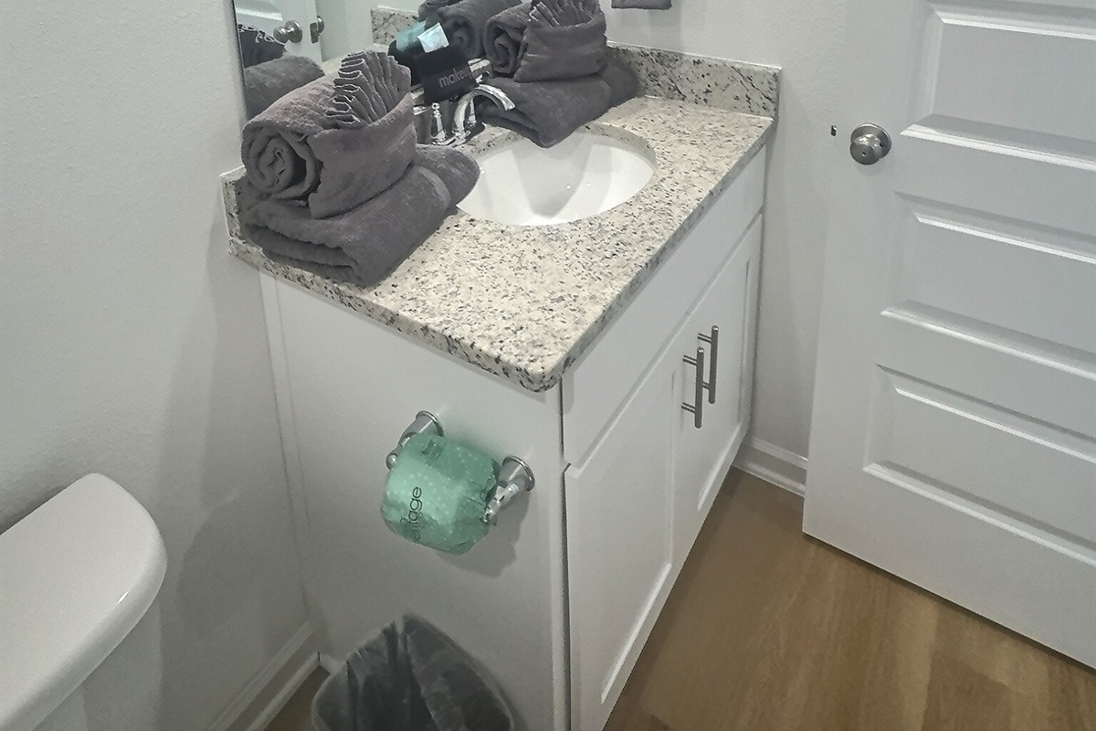Guest Bath