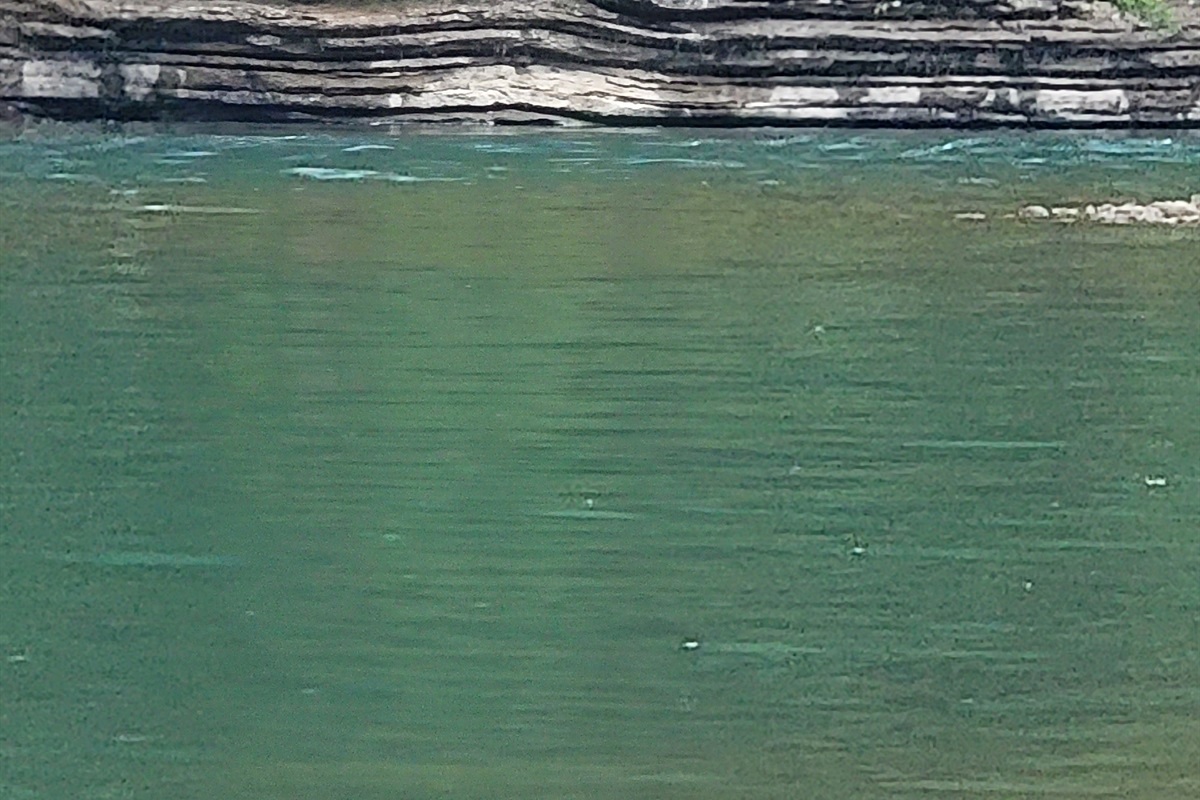 Buffalo River 4.4 Miles From Nature's Loft