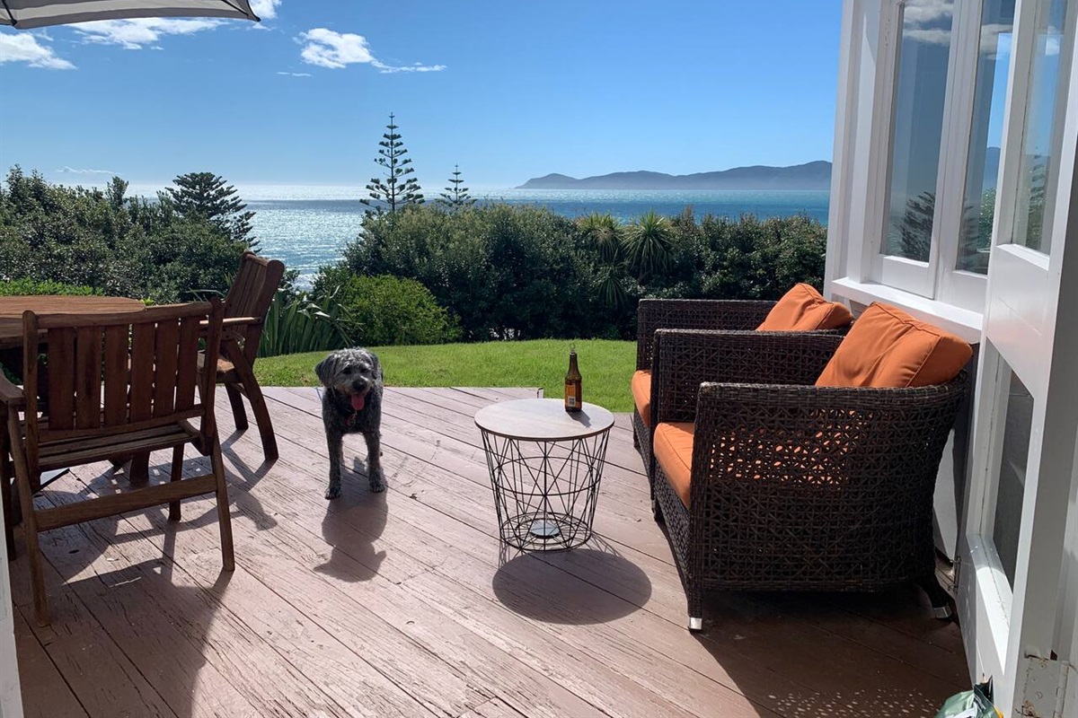 Bring your fury Friend :)  