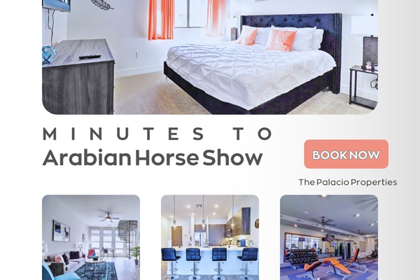 Modern Stay Near Arabian Horse Show Venues