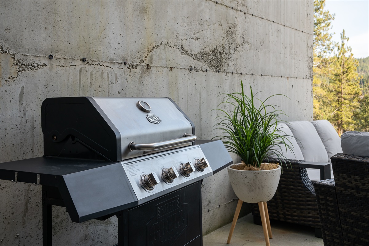 Gas BBQ with propane provided