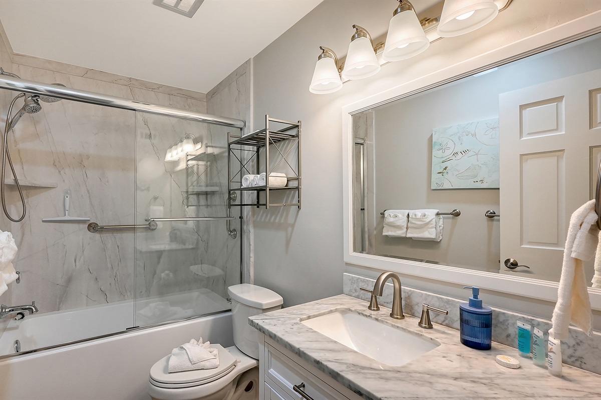 Guest bath with tub and shower
