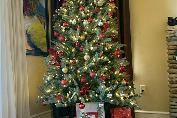 It's not what is under the tree that is important. It's who you have around it.