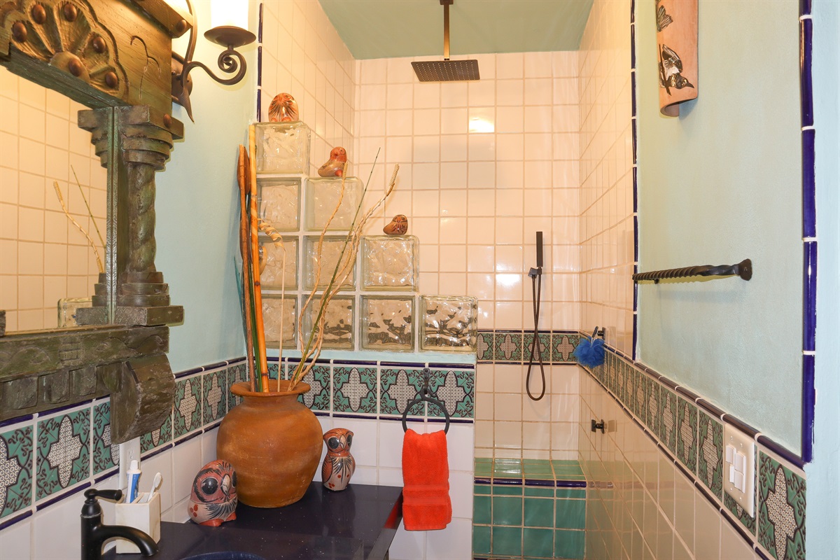 Downstairs Master Bathroom