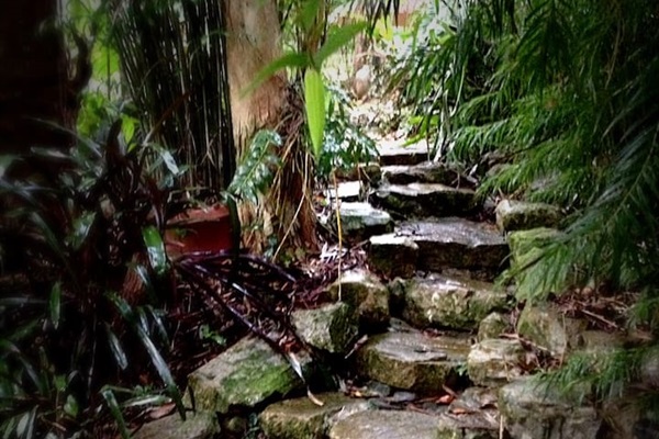 Stone walking path