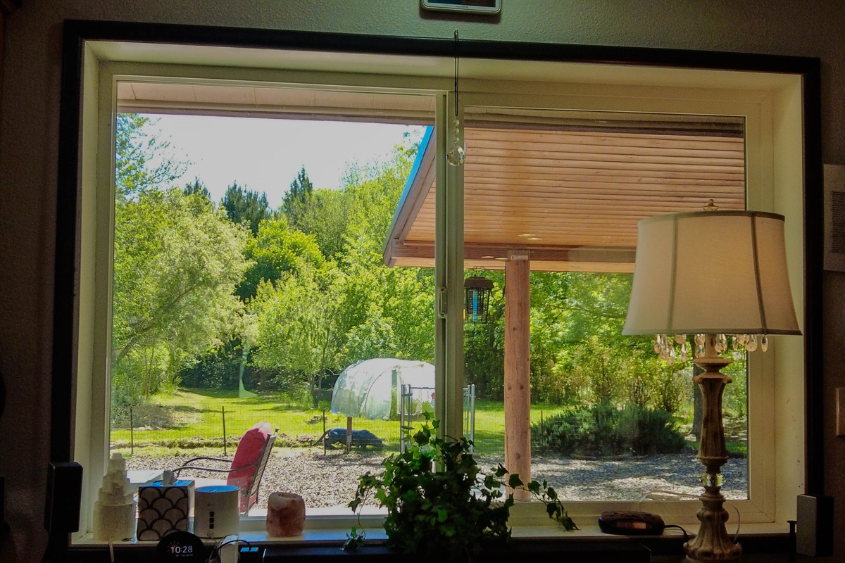 Back yard View from office table