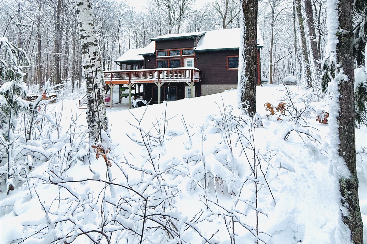 Welcome to Cattail Cabin!