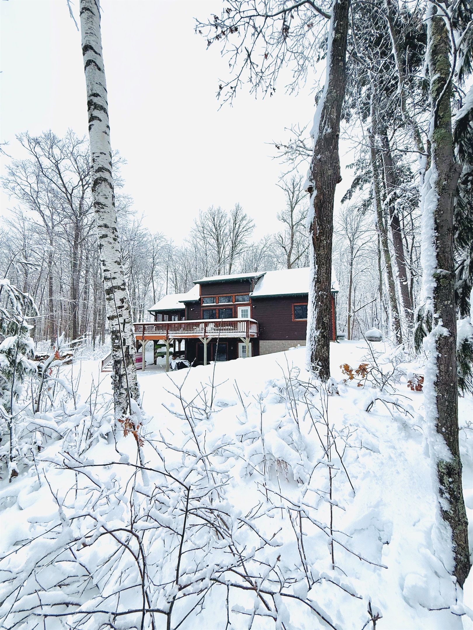 Welcome to Cattail Cabin!