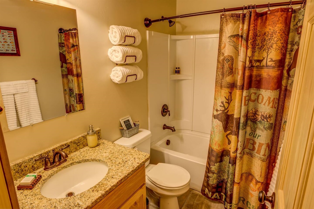 Downstairs Bathroom