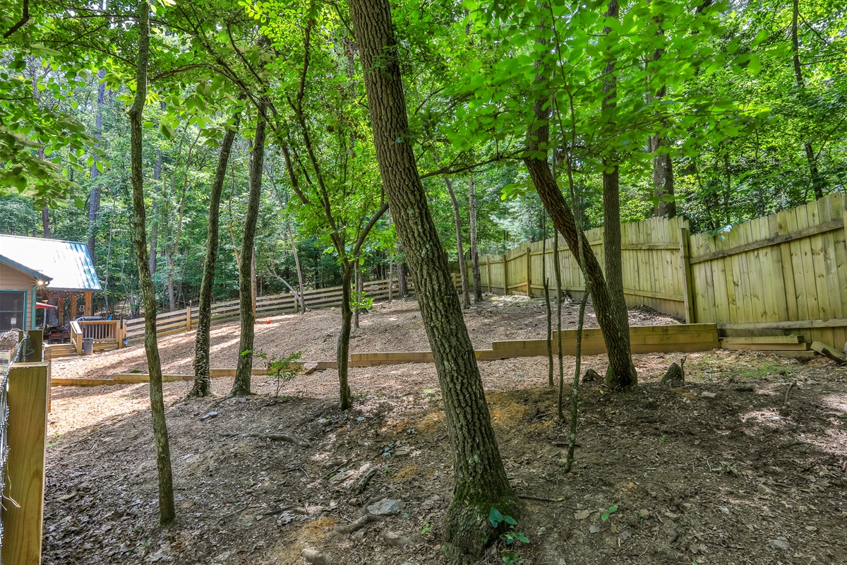 Fenced Yard - outdoor space for your Dogs!