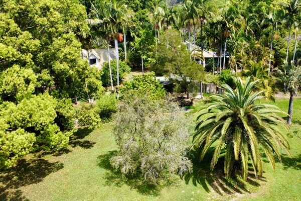 Lush green surrounds