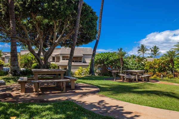 Ekolu complex has a picnic and BBQ area with a view of the Blue Golf Course