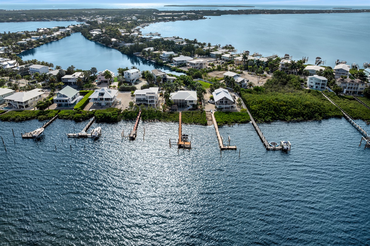 Aerial view of neighborhood