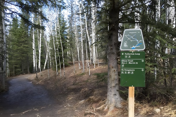 Beautiful nearby hiking trails