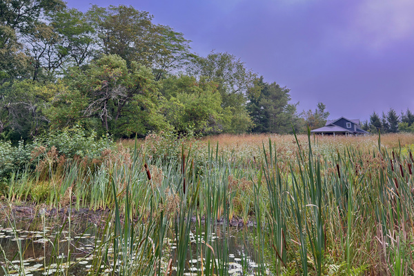 A scenic late-August view of our home, captured from the quiet banks of the pond.