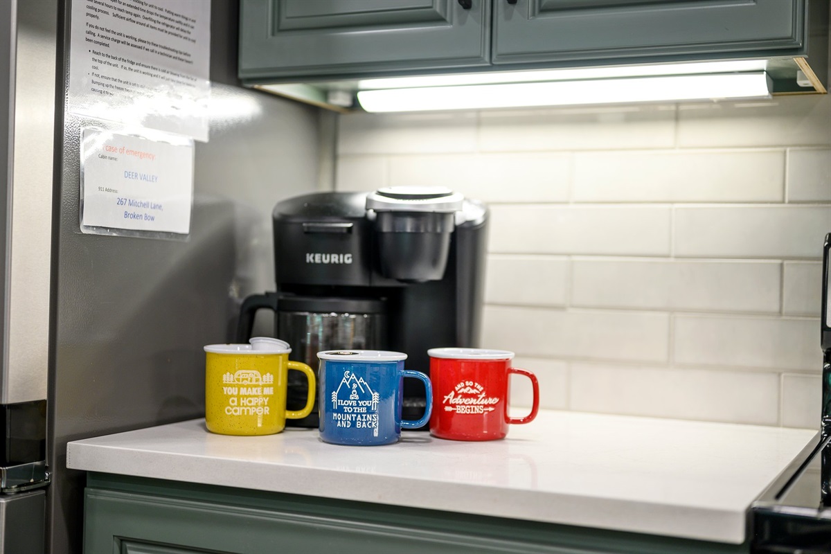 Dual Keurig coffee maker.  Starter k-cups and coffee filters provided.