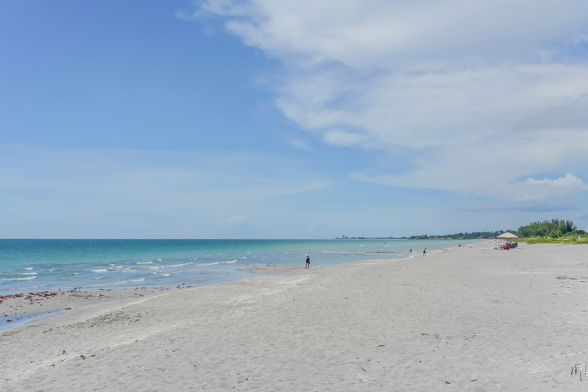Turtle Beach walking north