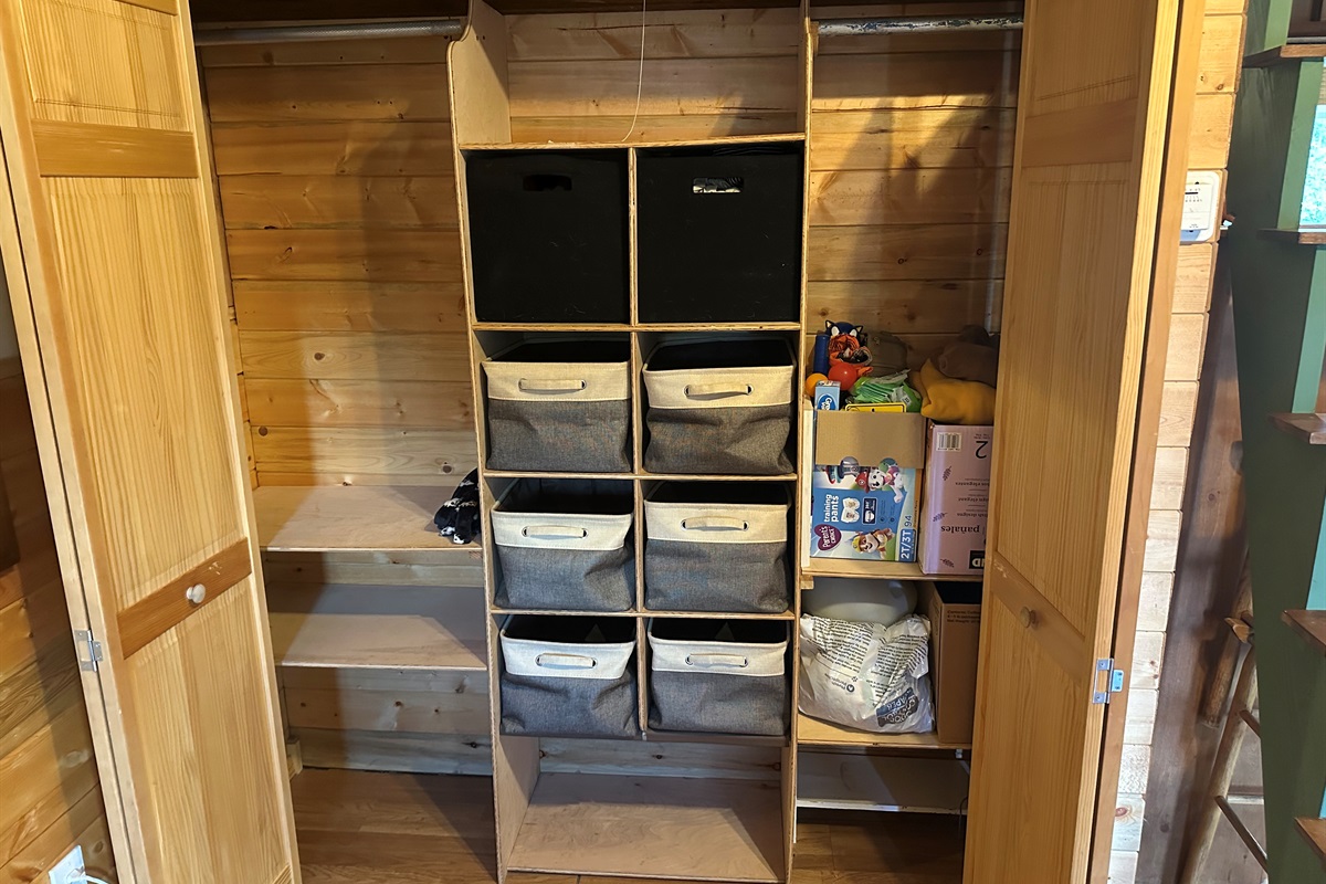 Storage in Living Room